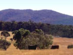 Picture of Landtasia Ranch in Summer